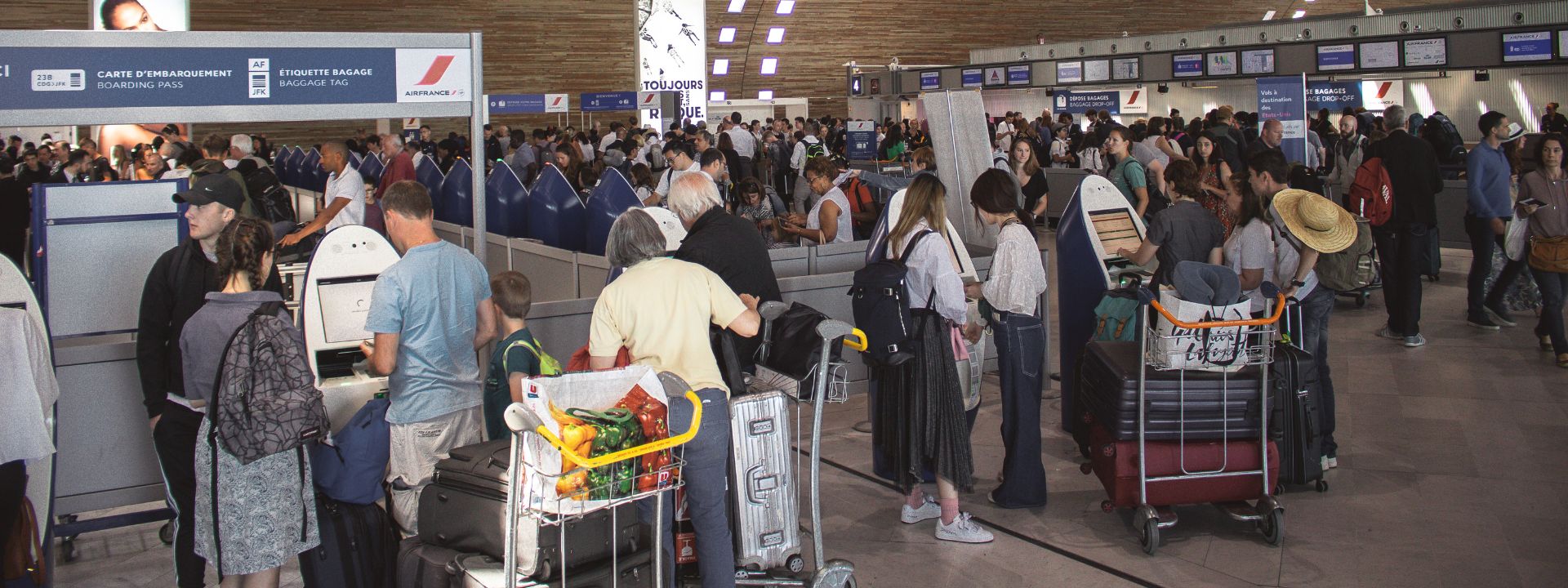 mc exclusive landing assistenza in aeroporto